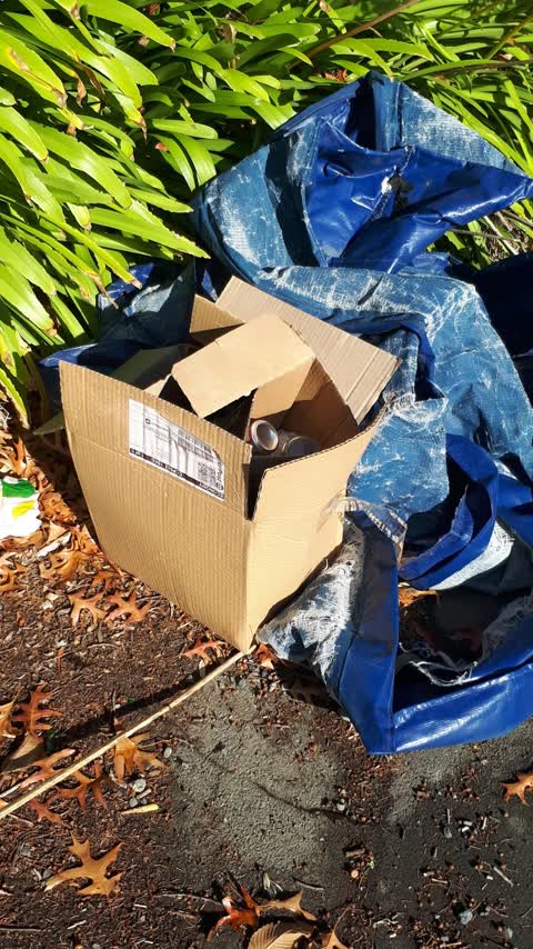Rubbish/Recycling — a report photo