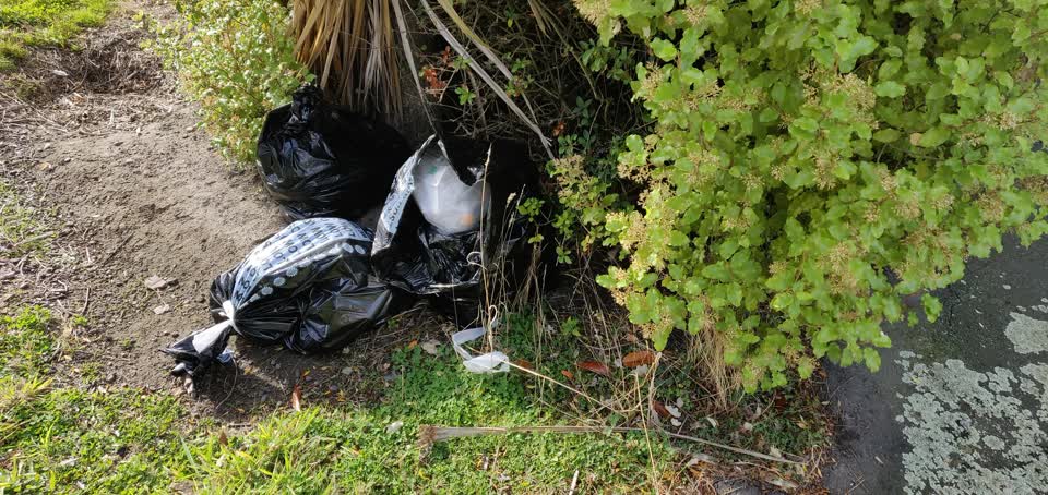 The photograph attached to this rubbish/recycling report