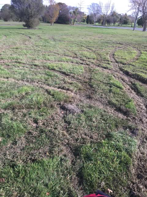 Parks, a report photo