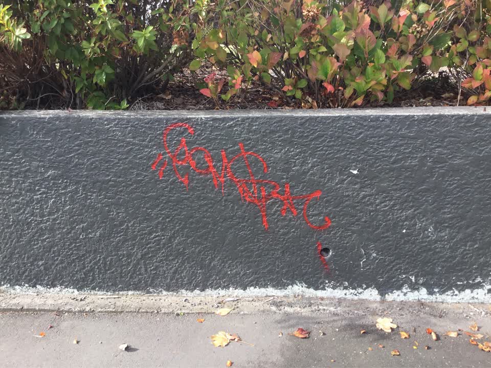 The photograph attached to this graffiti report