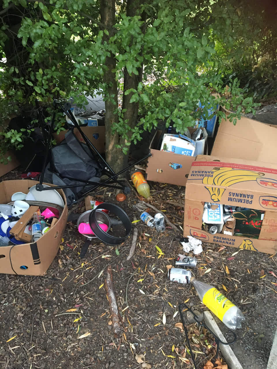 The photograph attached to this rubbish/recycling report