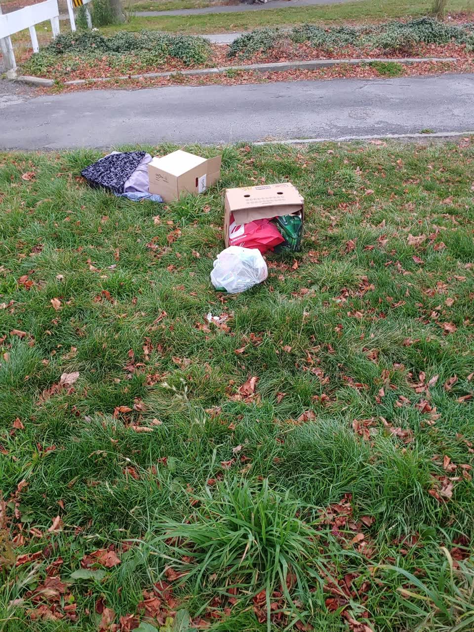 The photograph attached to this rubbish/recycling report
