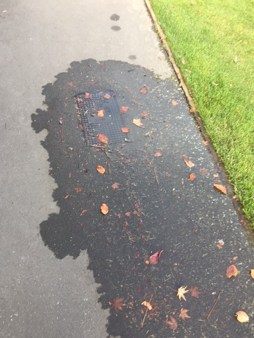 The photograph attached to this water supply report