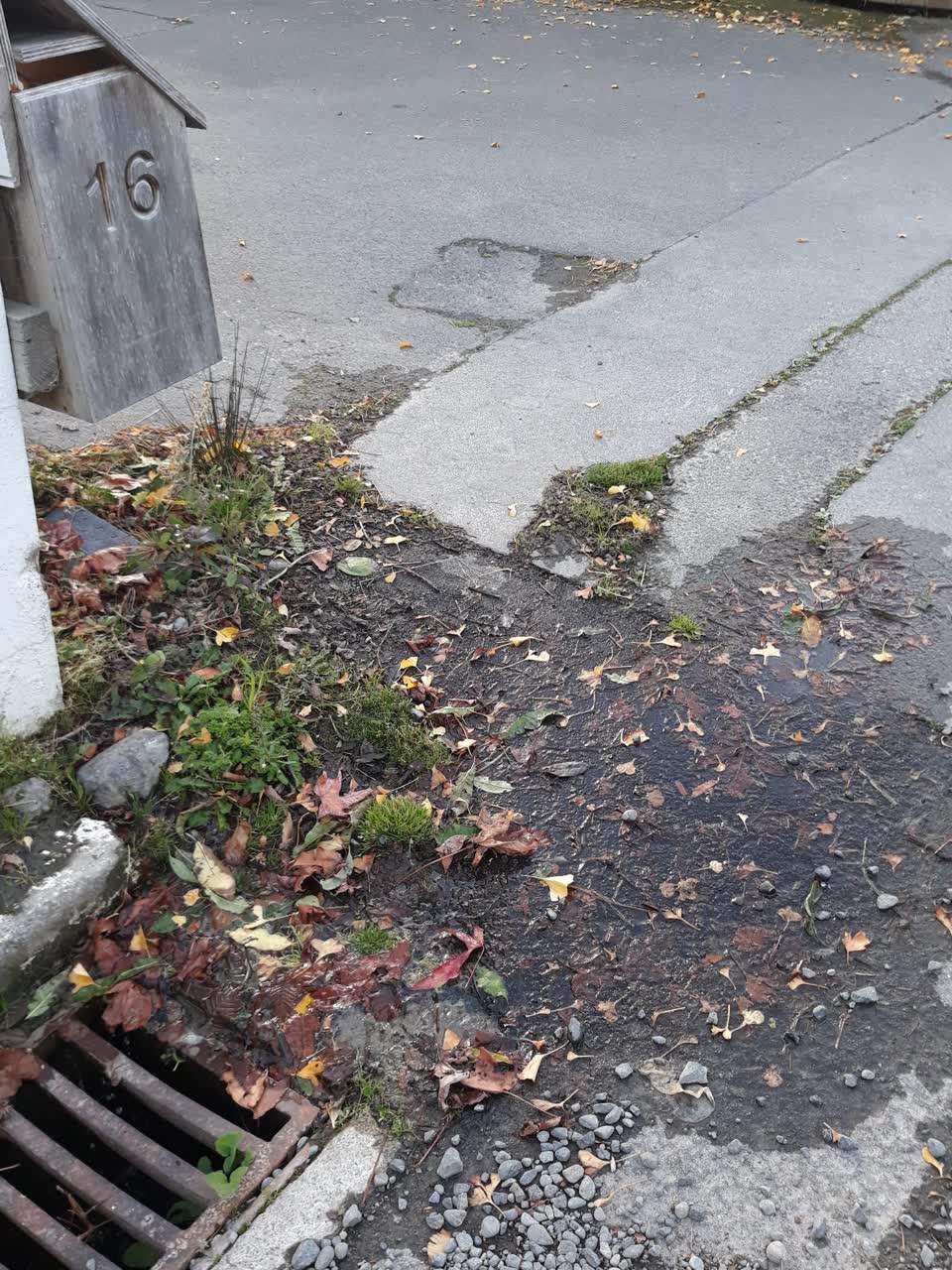 The photograph attached to this water supply report