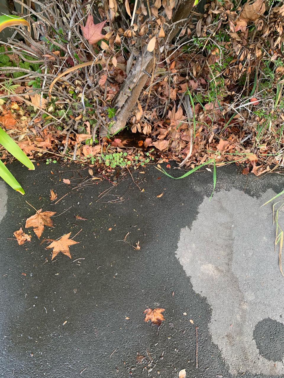 The photograph attached to this water supply report