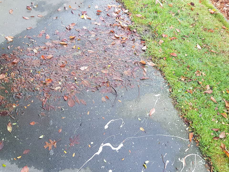 The photograph attached to this flooding report