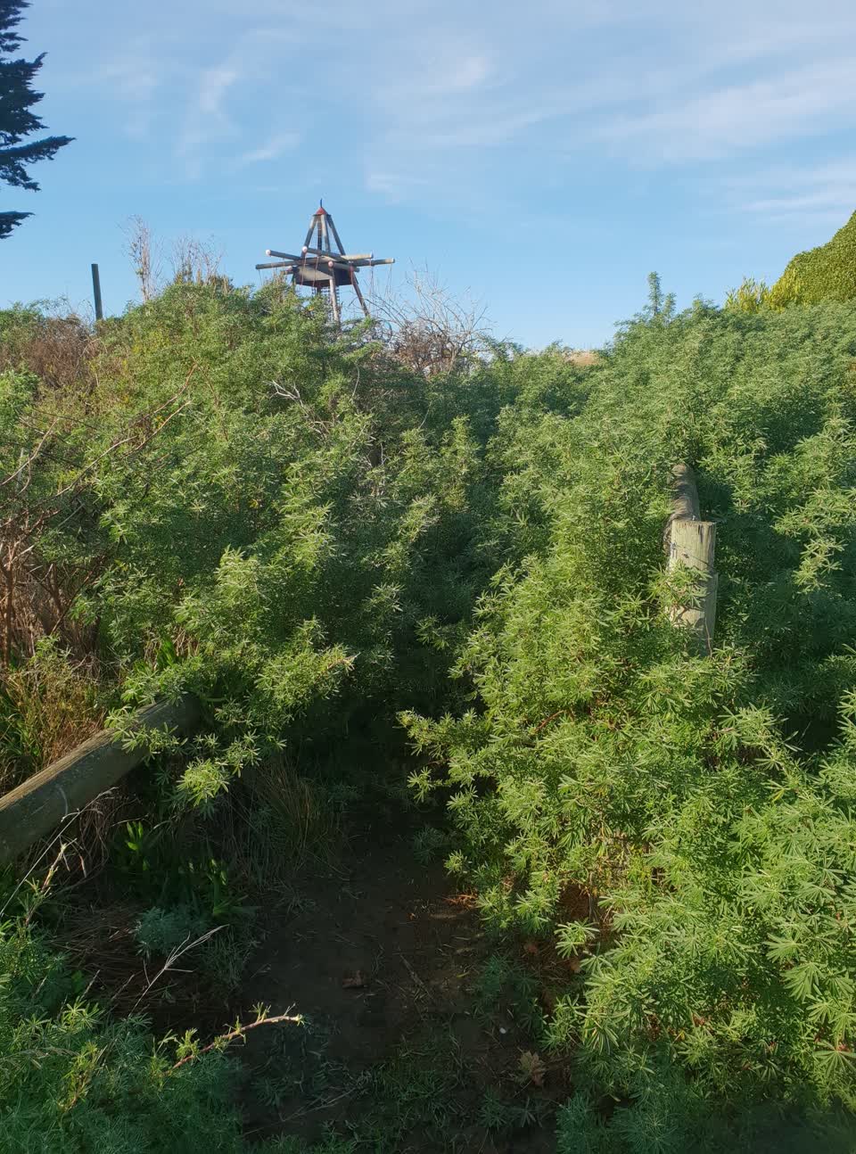 The photograph attached to this parks report