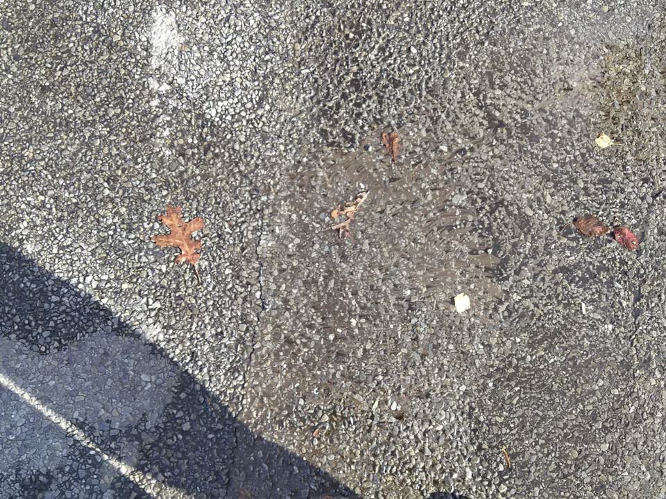The photograph attached to this water supply report