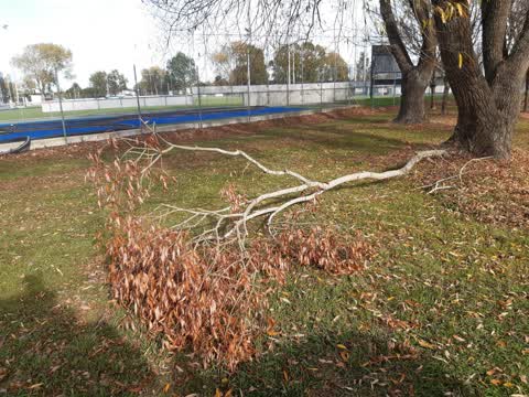 Parks — a report photo