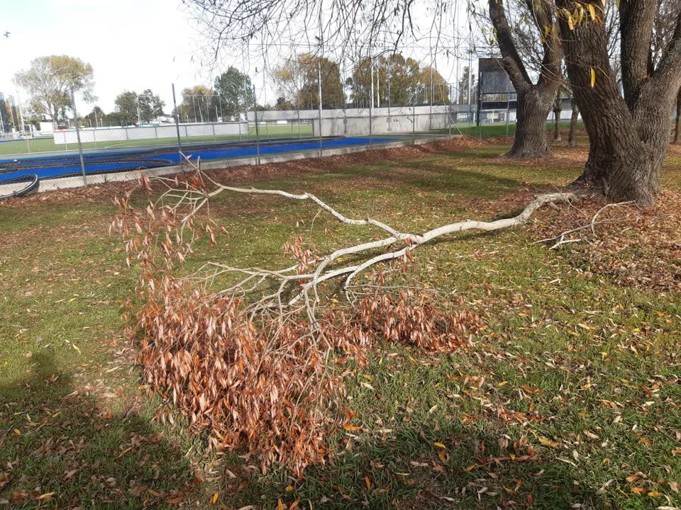 The photograph attached to this parks report