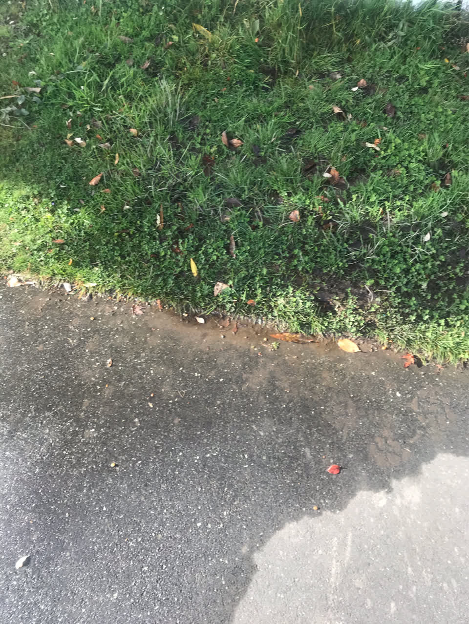 The photograph attached to this water supply report