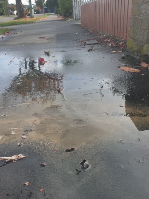 Flooding, a report photo