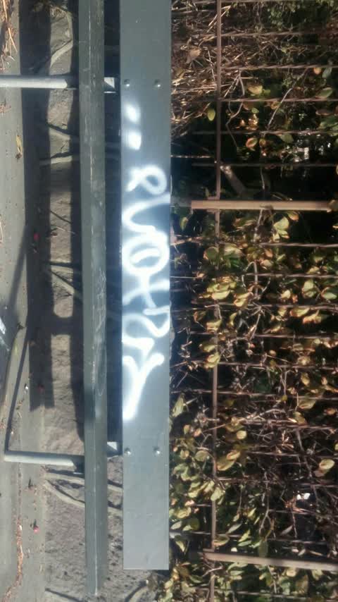 Graffiti, a report photo