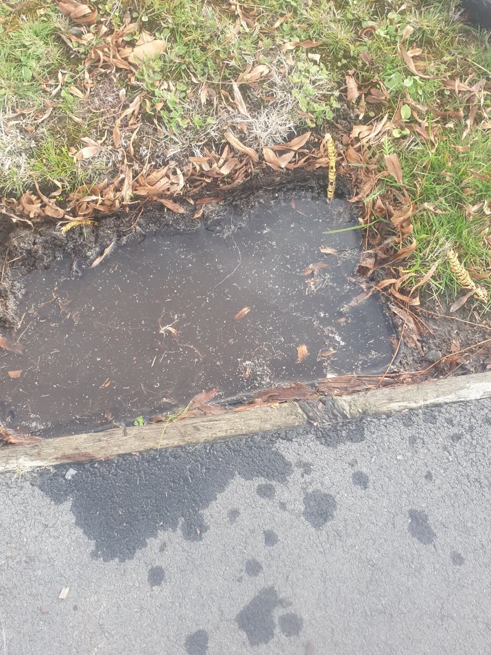 The photograph attached to this water supply report