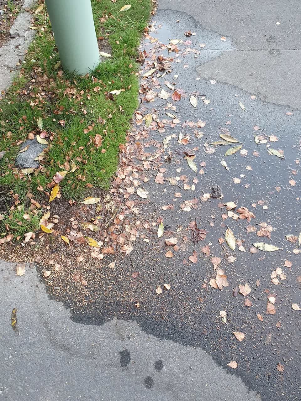 The photograph attached to this water supply report