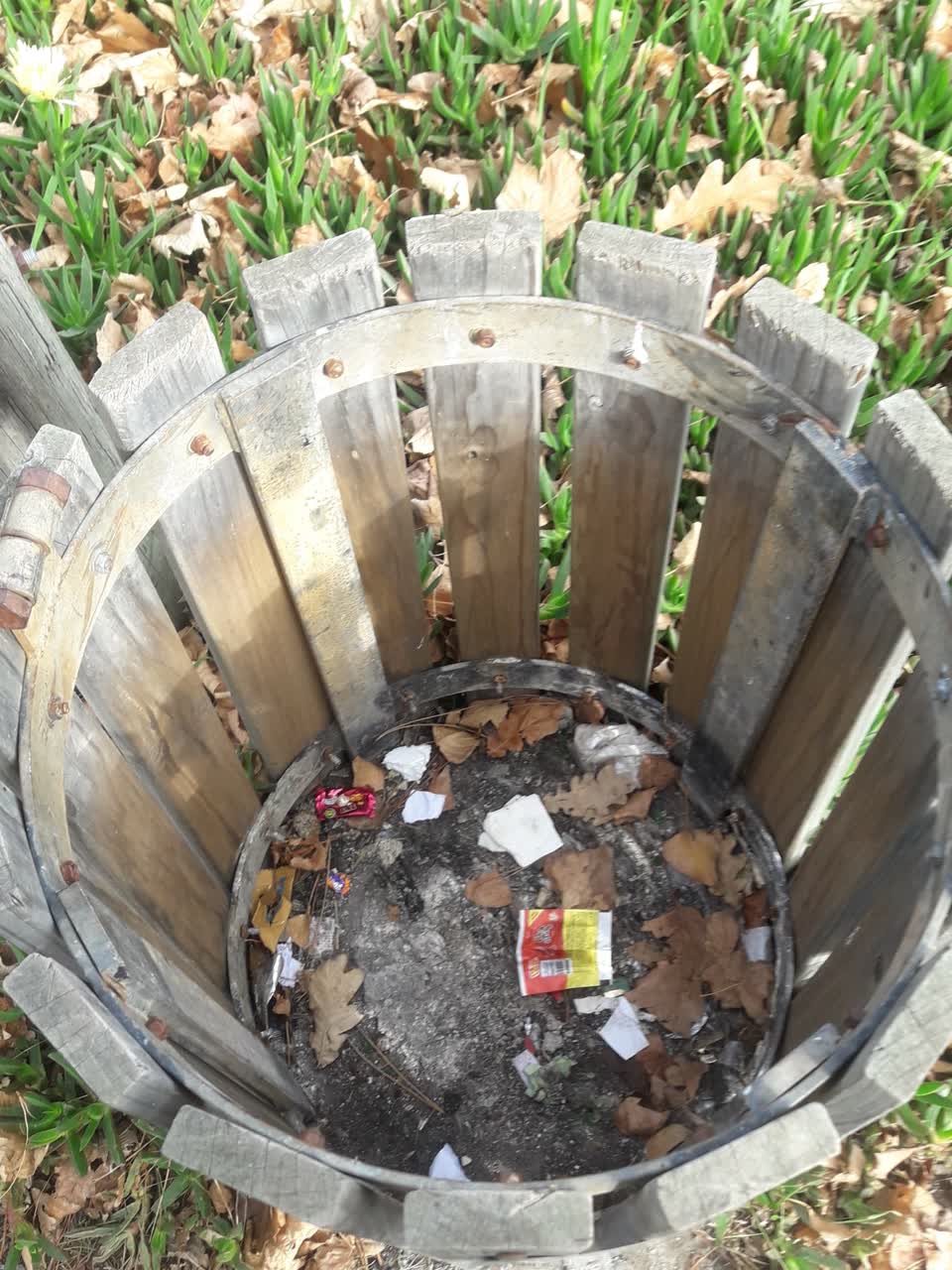 The photograph attached to this parks report