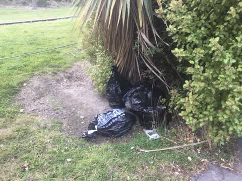 Rubbish/Recycling, a report photo
