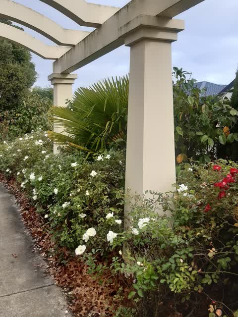 Parks, a report photo