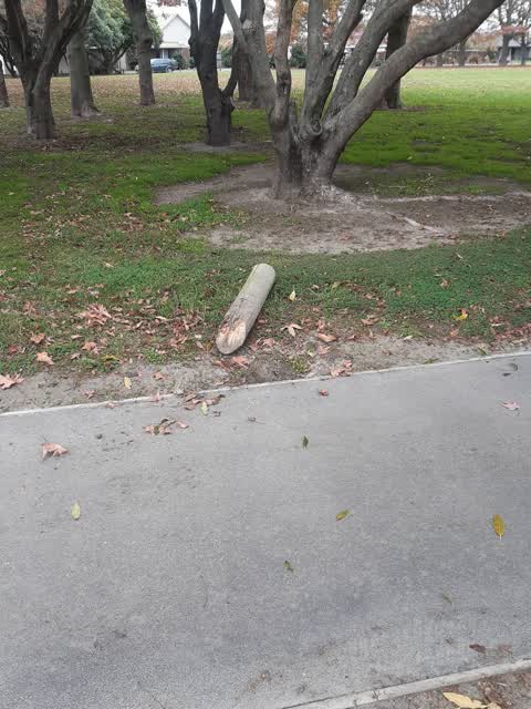 Parks, a report photo