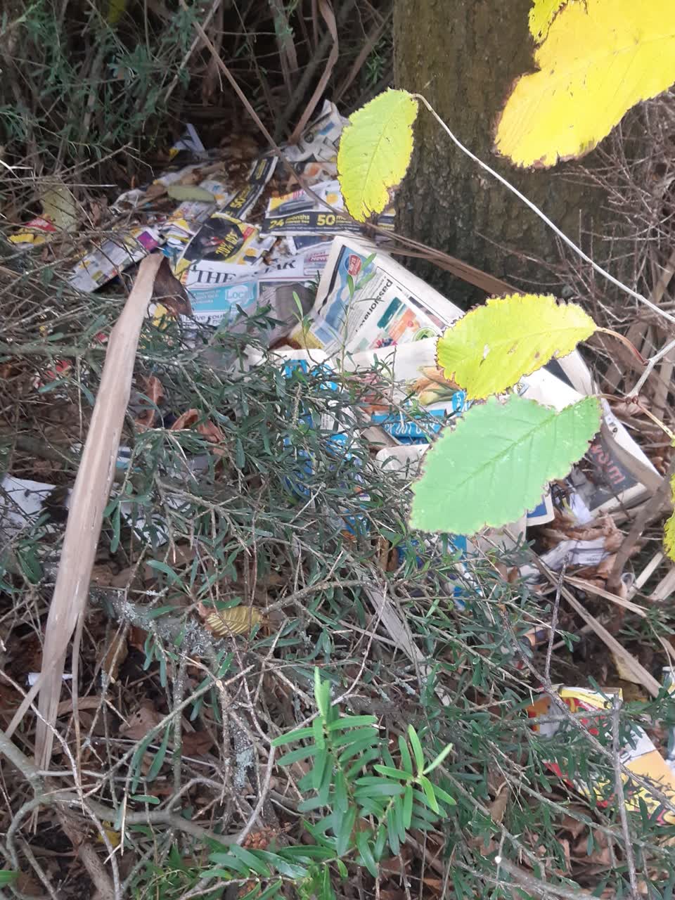 The photograph attached to this parks report