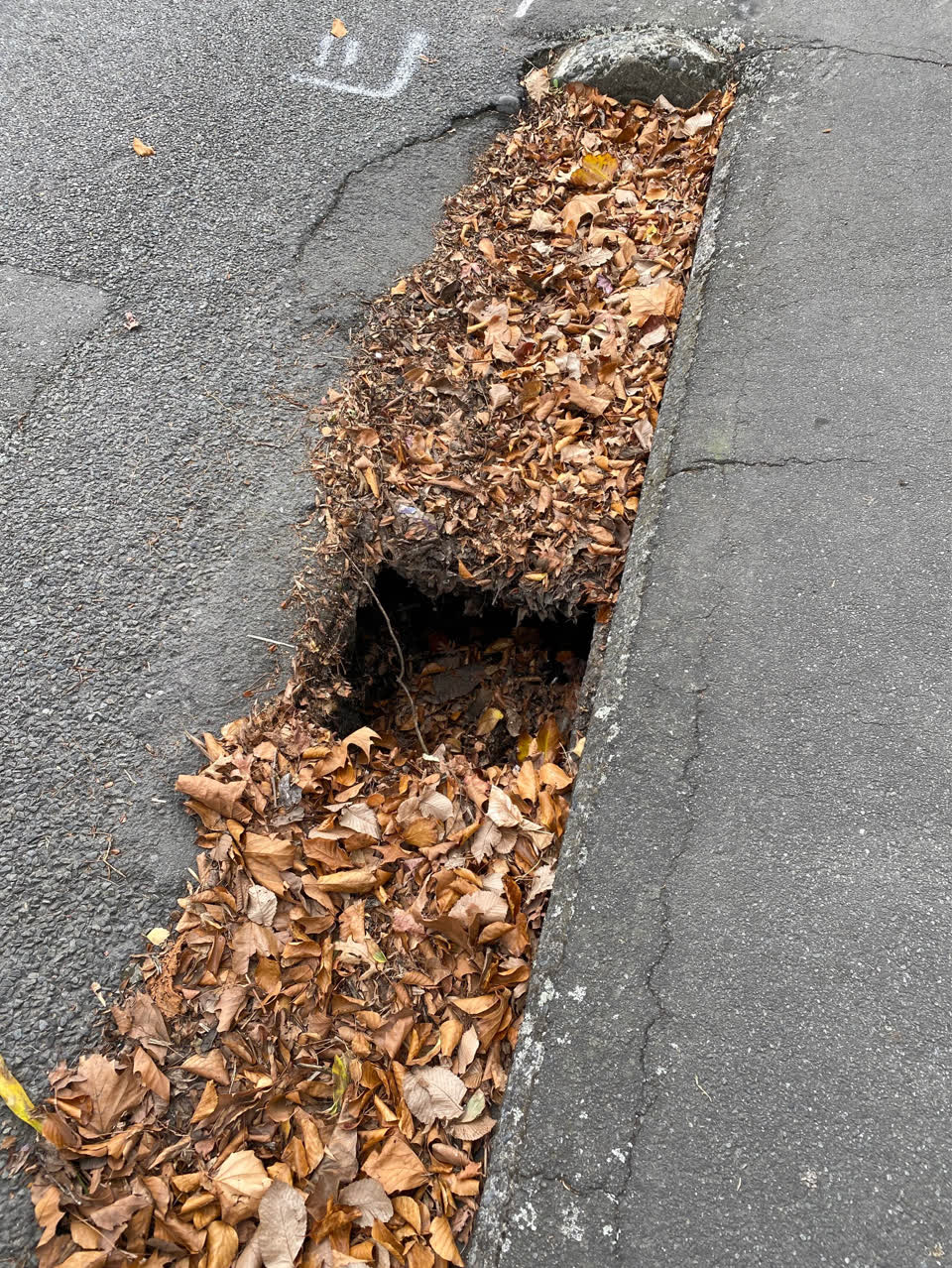 The photograph attached to this roading/streets report