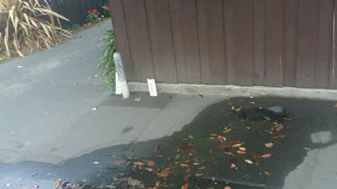 Water Supply, a report photo