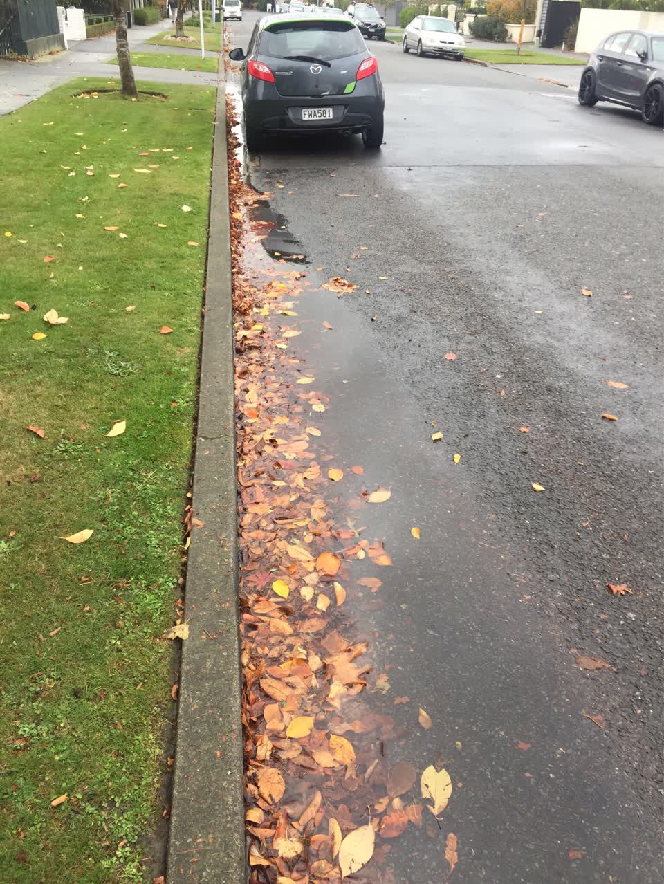 The photograph attached to this roading/streets report