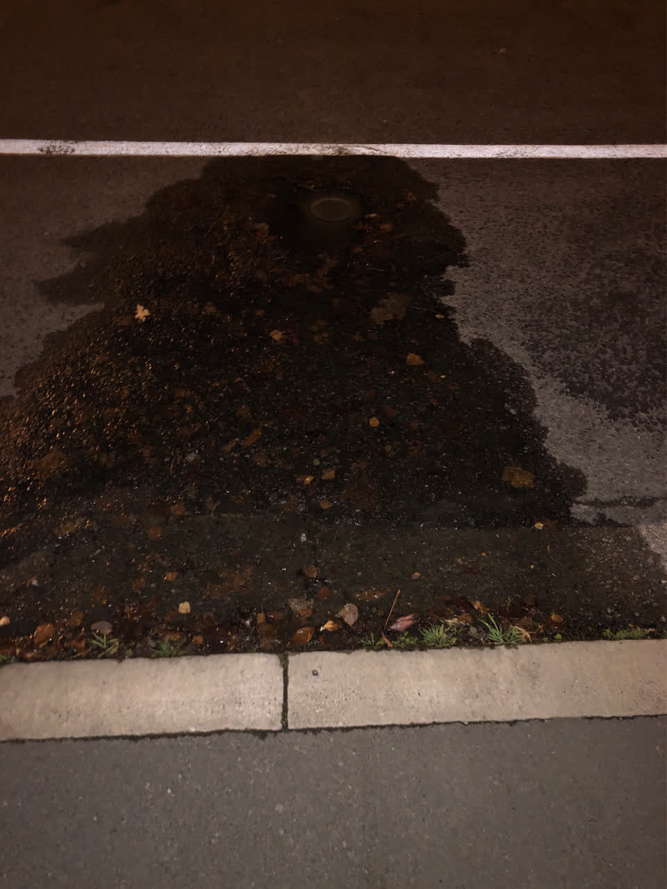 The photograph attached to this water supply report