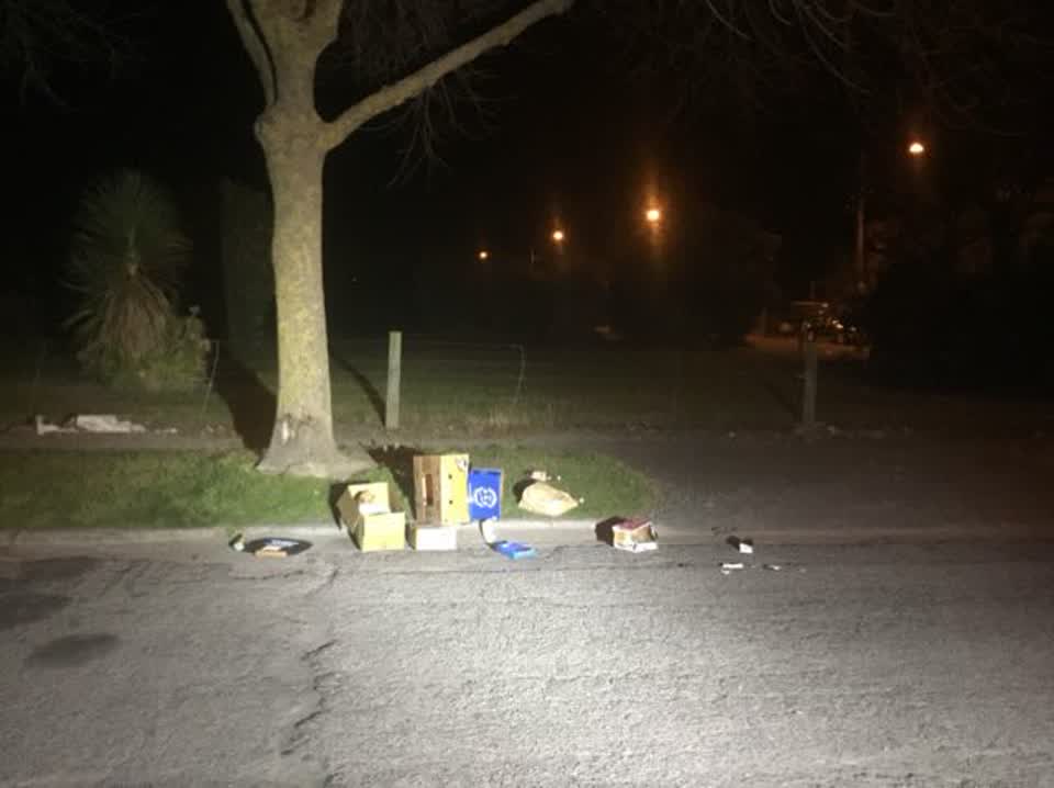 The photograph attached to this rubbish/recycling report