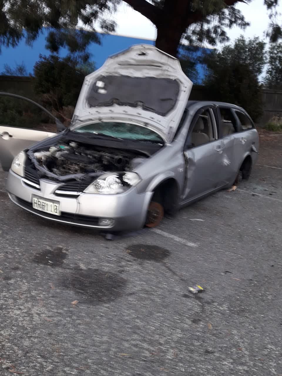 The photograph attached to this parks report