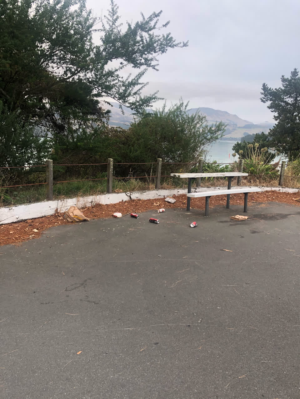 The photograph attached to this rubbish/recycling report