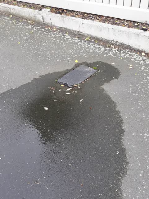 Water Supply, a report photo