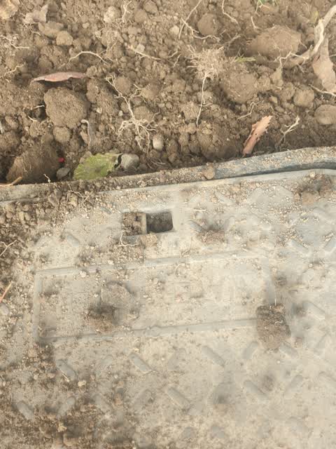 Water Supply, a report photo