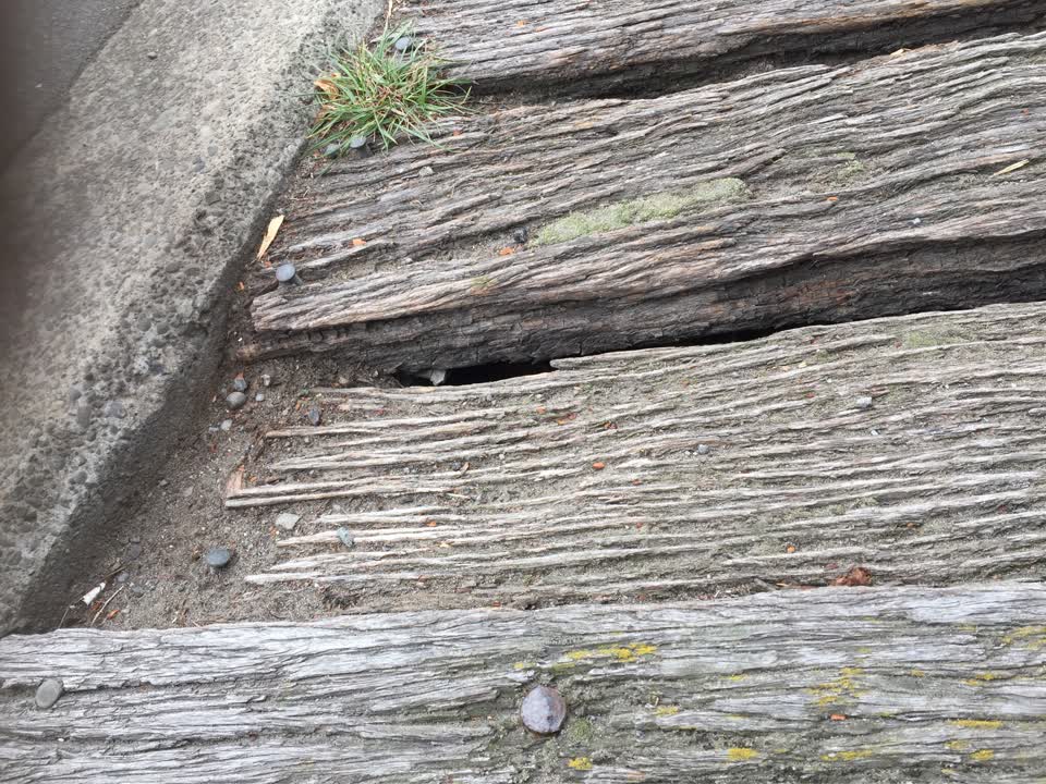 The photograph attached to this parks report