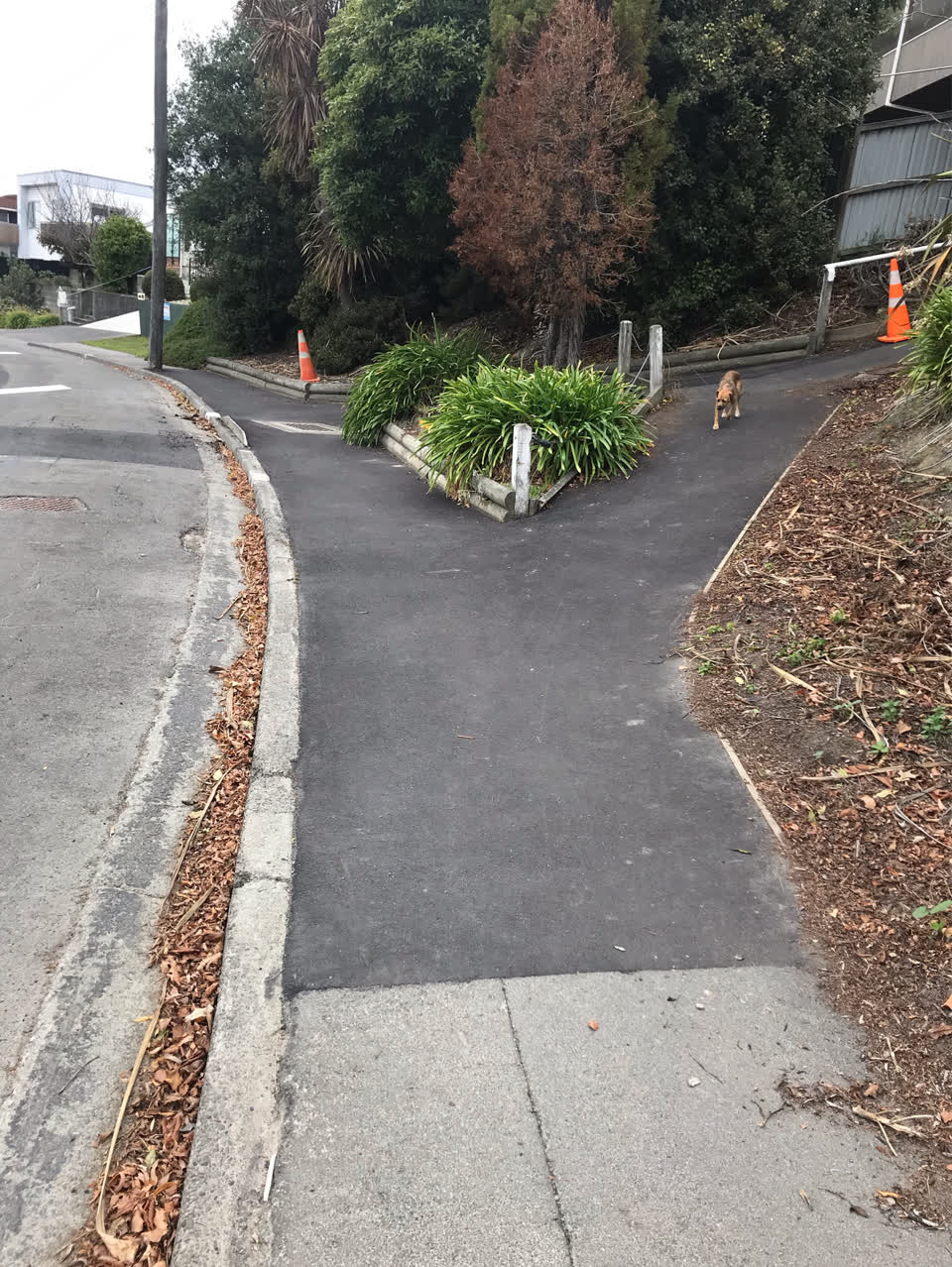 The photograph attached to this roading/streets report