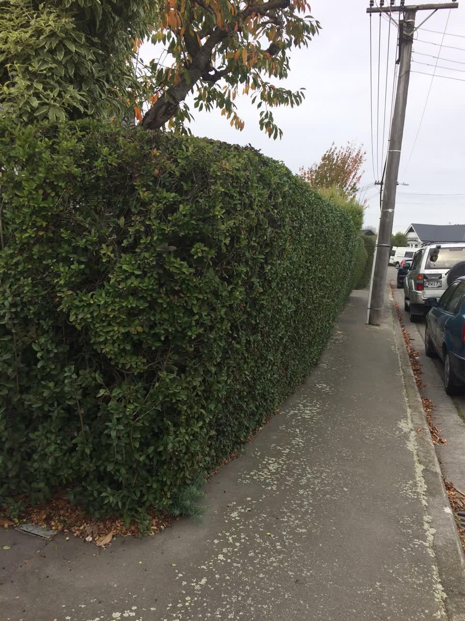 The photograph attached to this roading/streets report