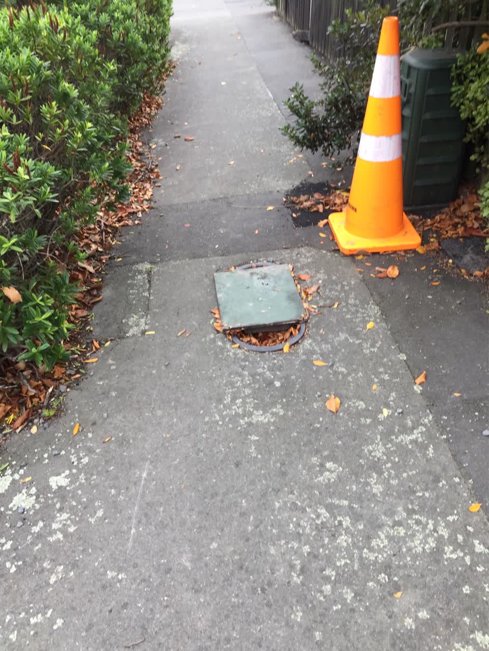 The photograph attached to this water supply report
