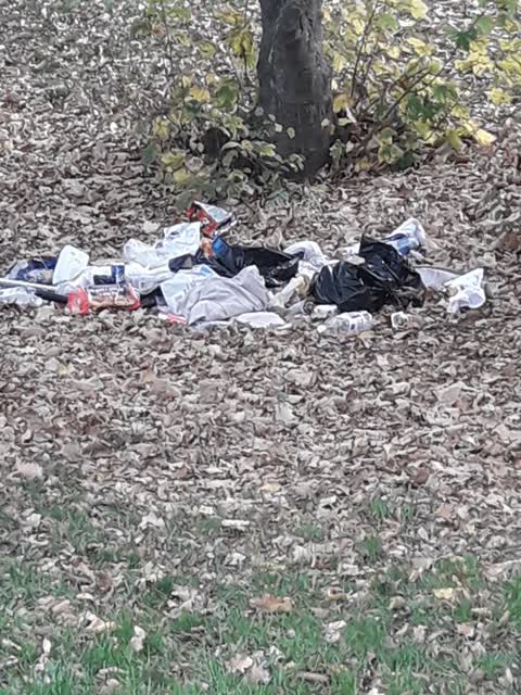 Parks, a report photo