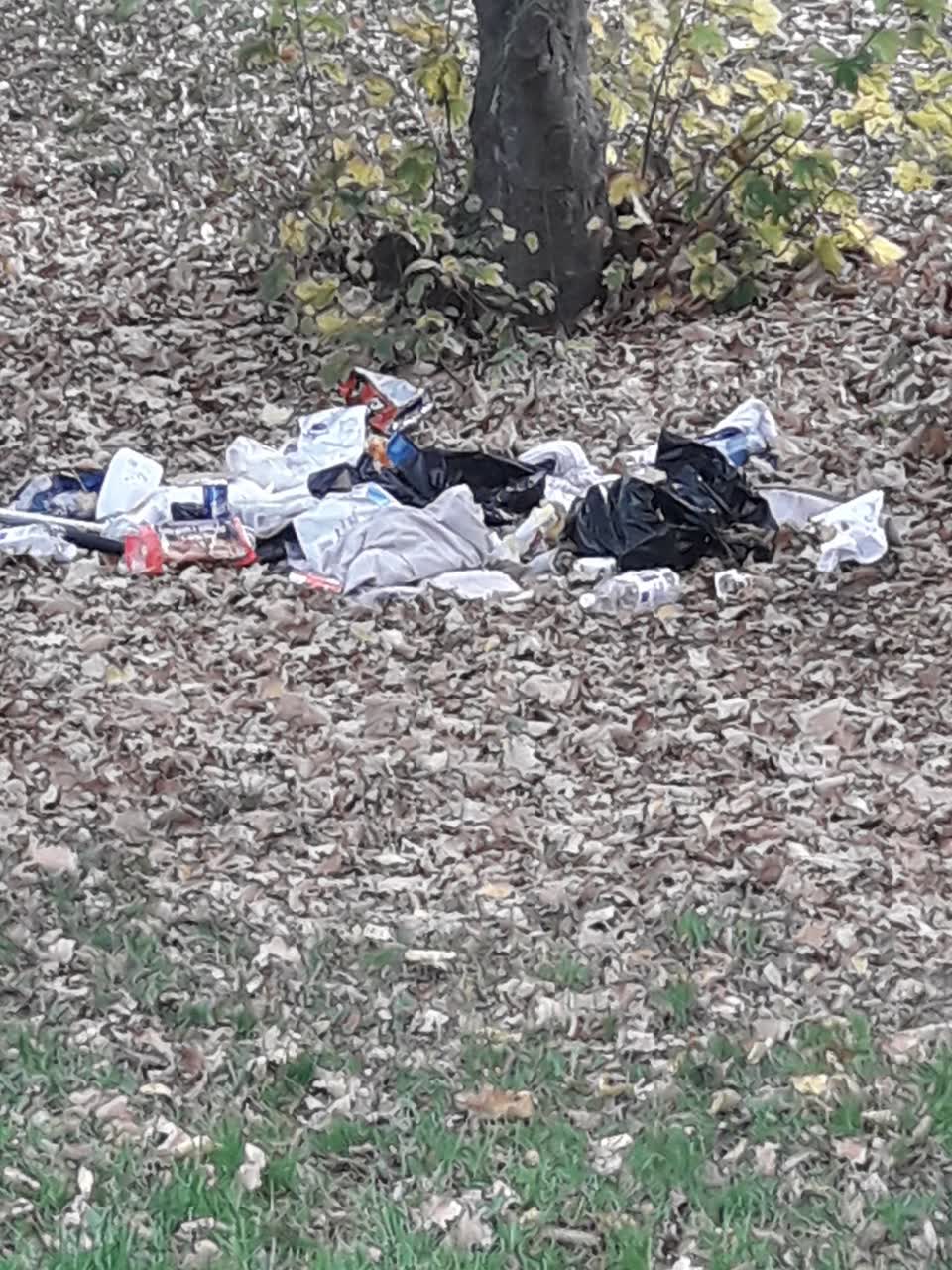 The photograph attached to this parks report