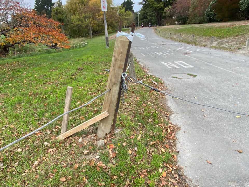 The photograph attached to this parks report