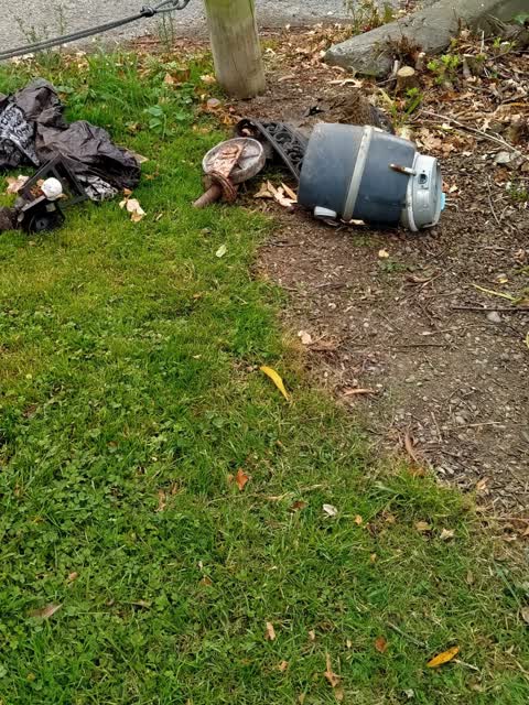 Rubbish/Recycling, a report photo