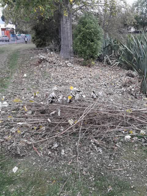 Parks — a report photo