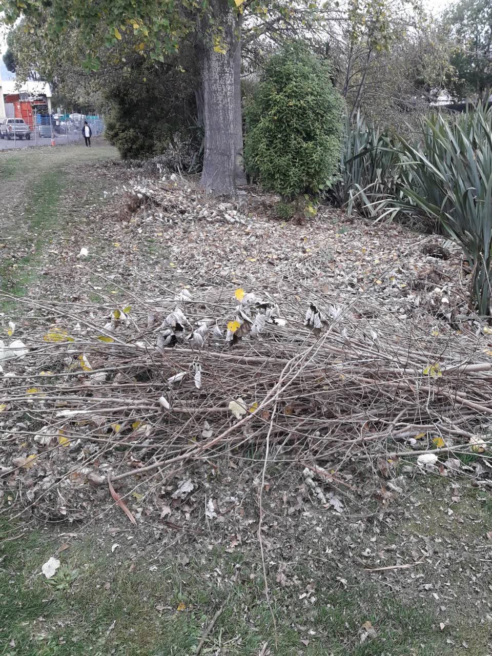 The photograph attached to this parks report