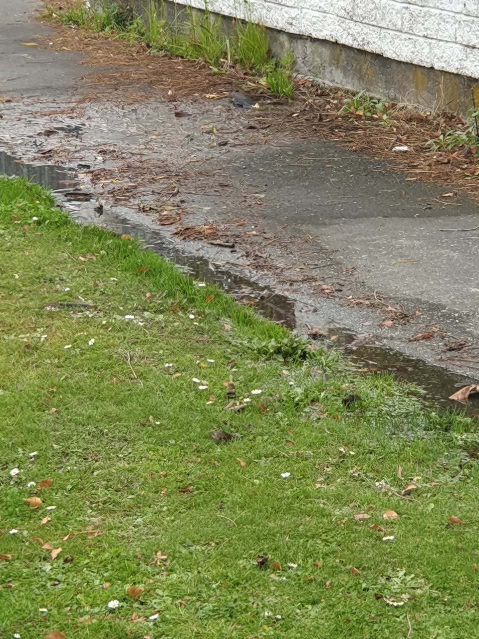 The photograph attached to this water supply report