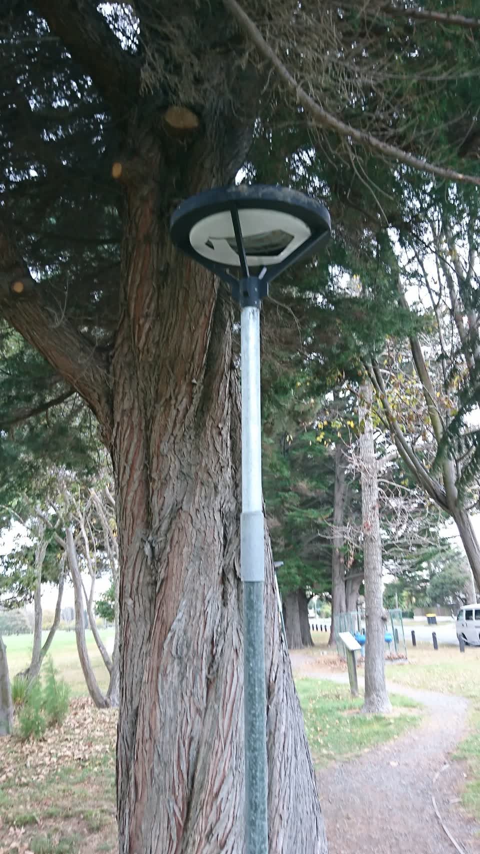 The photograph attached to this parks report