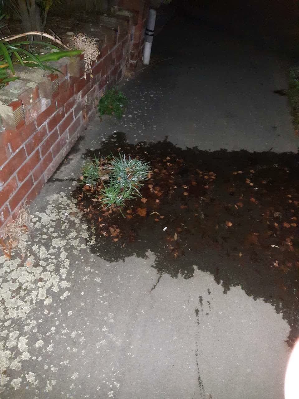 The photograph attached to this water supply report