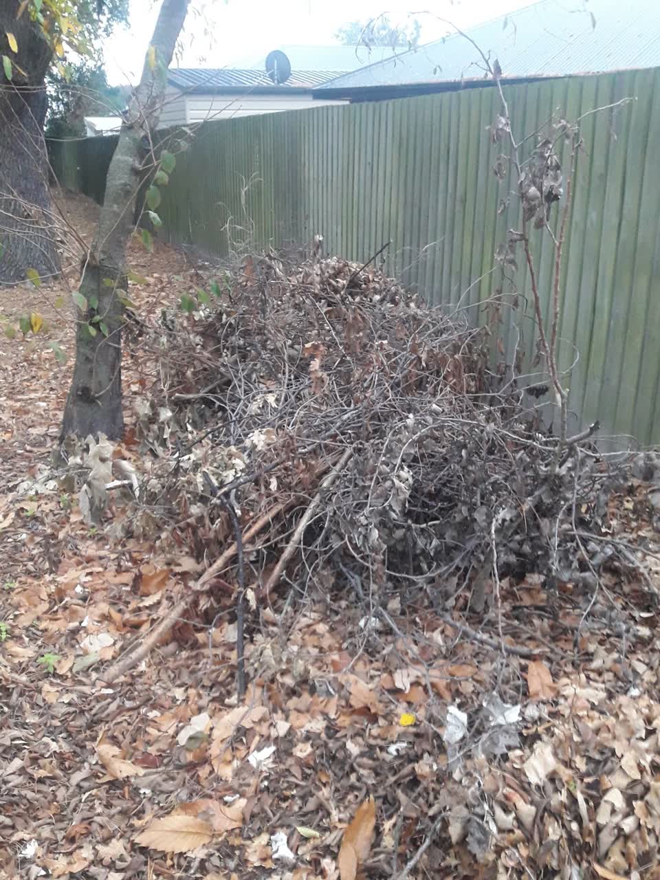 The photograph attached to this parks report