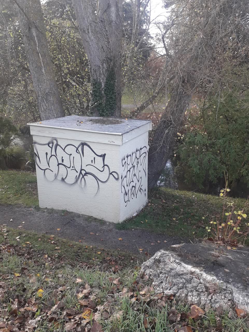 The photograph attached to this graffiti report