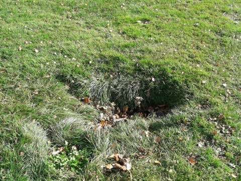 Parks, a report photo