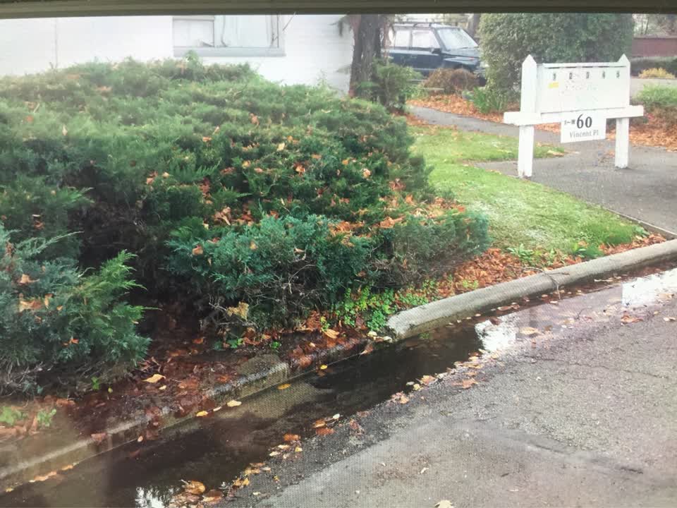 The photograph attached to this water supply report